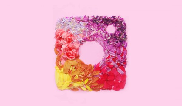 Instagram logo created with flower pedals on a pink background